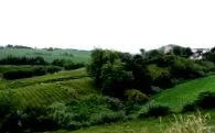čierny