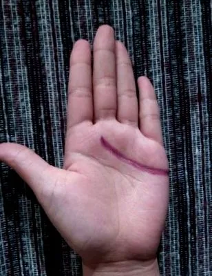 palm-ban