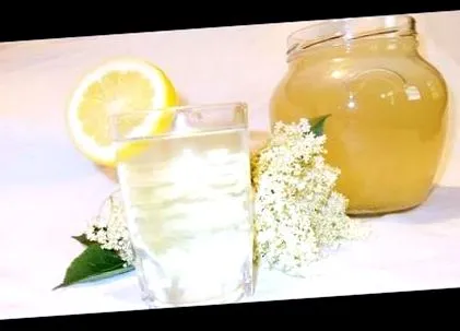 исчистите лесно
