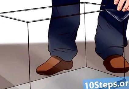 2020 биолуминисцентни