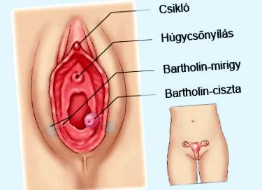приватна симптоми