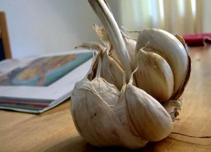 alimente protecție