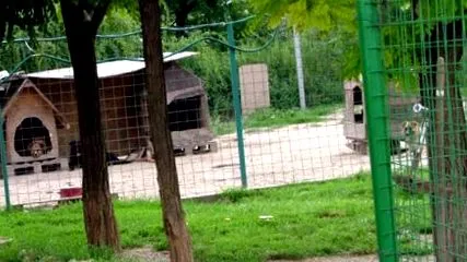 червеи паразитират