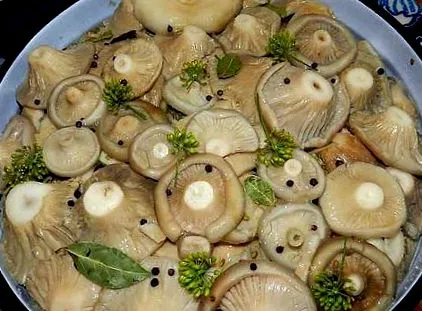 како чувам