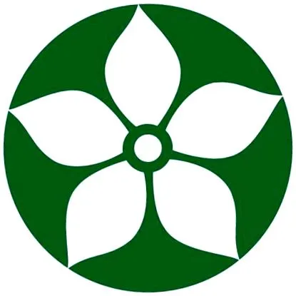 визијата