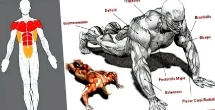 ослободите градите