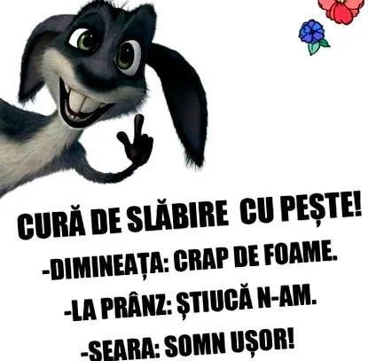 fogyókúra