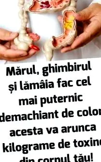 nyálka támogatható