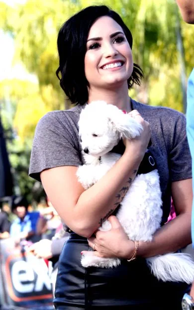 lovato