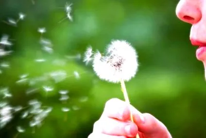 allergia típusai