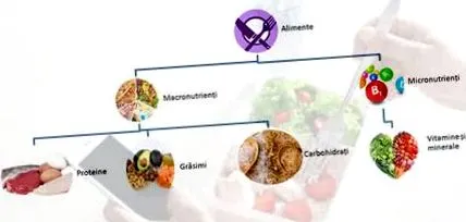 калорії