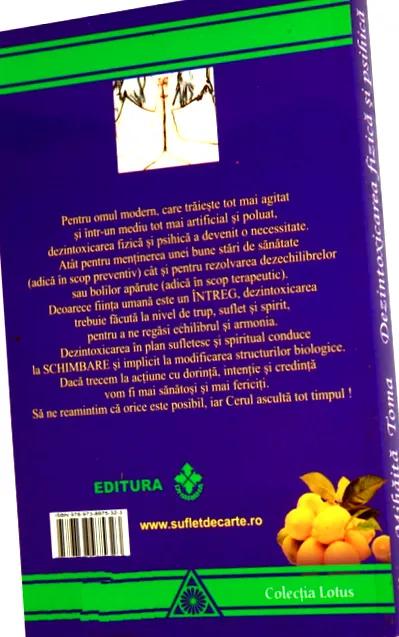 ментална детоксикација