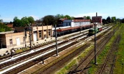tetőn cserjék