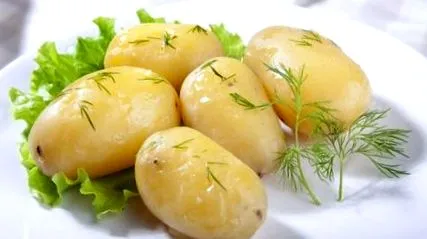 burgonya burgonya