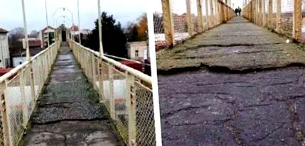 tetőn növő