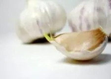 ориз