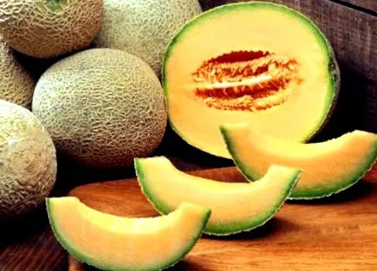 közlöny