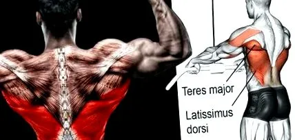 tenni