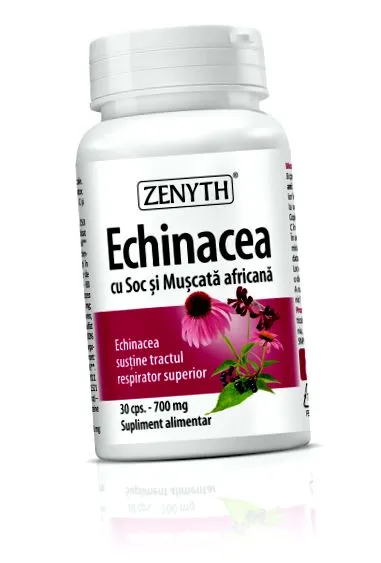 echinacea