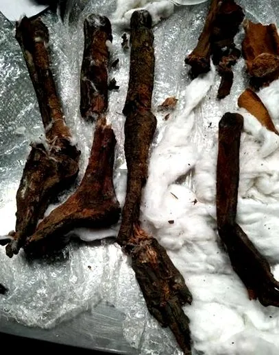 egyiptom