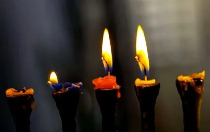 всичко никой