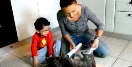 csomagolás
