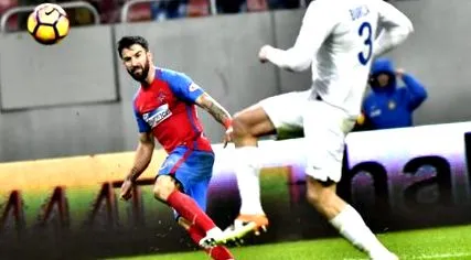steaua