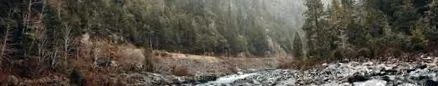 Благороден Куран