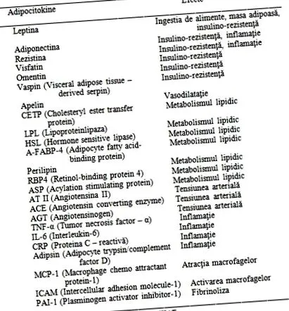 endokrin szennyező