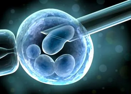 vitro