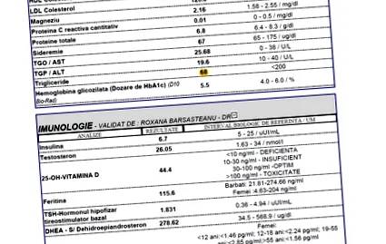 egészséges egészséges táplálkozás