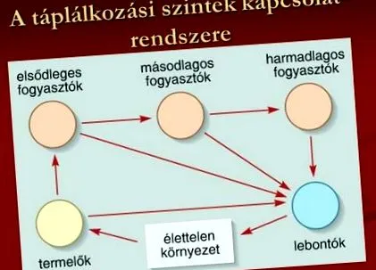 организми хранителни