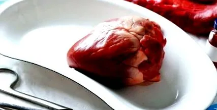 гръдната кост