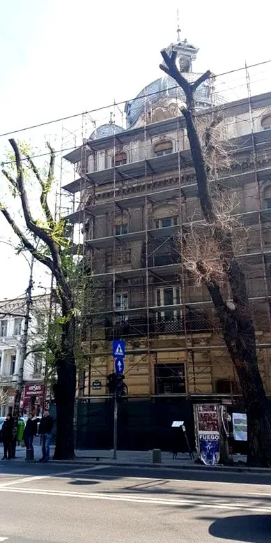 кількох дерева