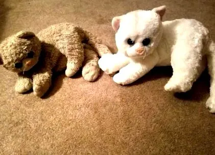 преди които