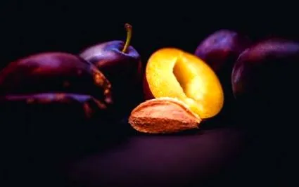 egészséges