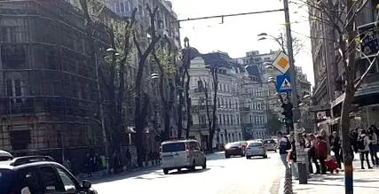 дерева битву