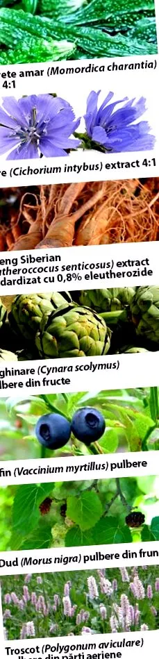 rögzíthető