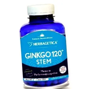 Ginkgo biloba