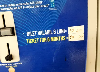 сторінка