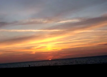 форуми