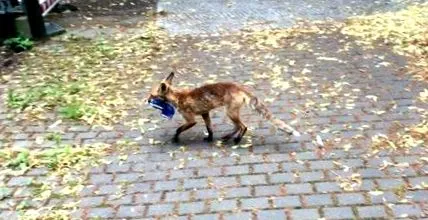 скоро скоро