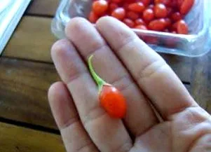ефект примена