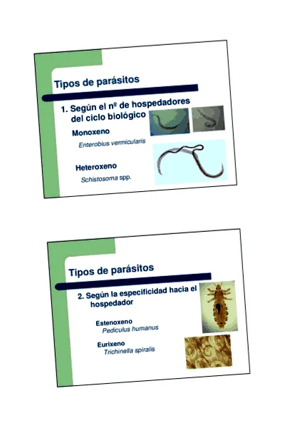 vermox helmintox