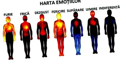 magát