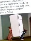 возбудувањата можат