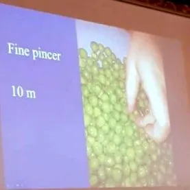 харчування