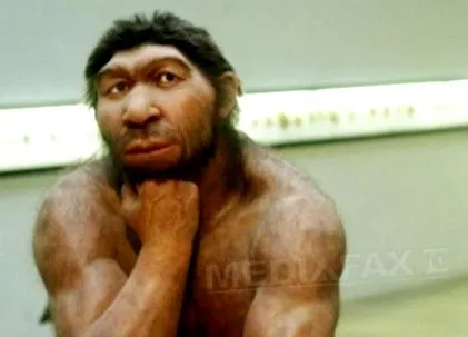 homo sapiens