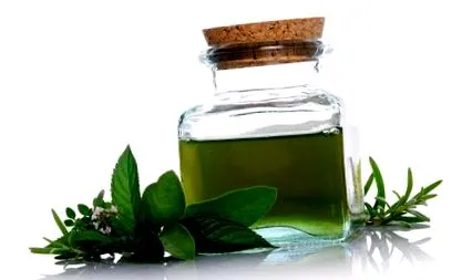 herbagetica