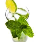 menta